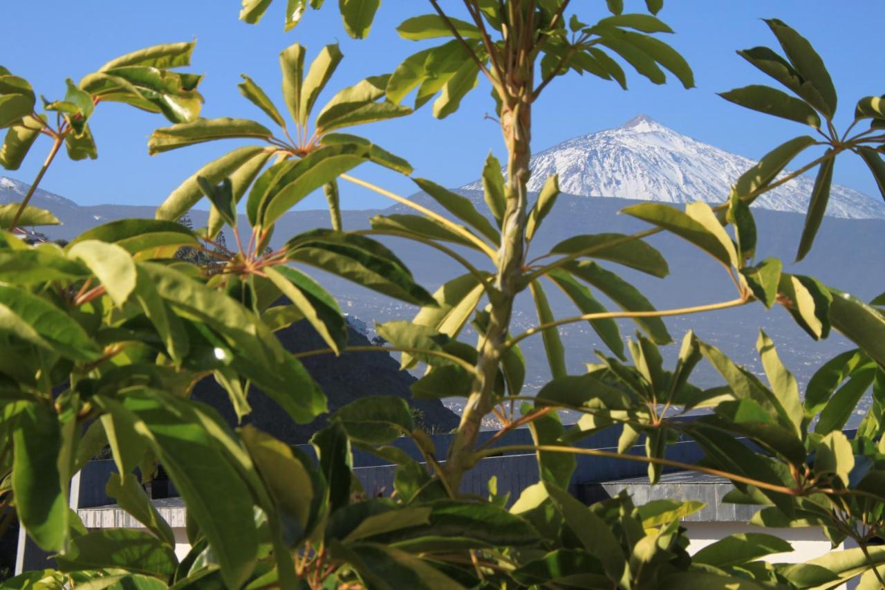 Vistamar Daire Santa Úrsula Dış mekan fotoğraf